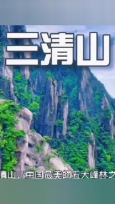 救援有趣的狮子